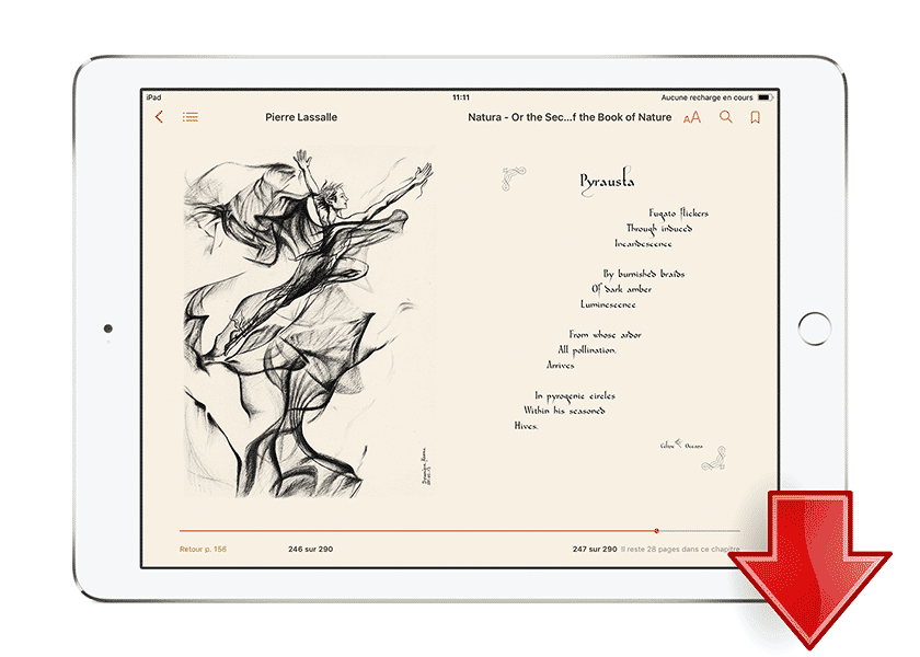 natura-or-the-secrets-of-the-book-of-nature-gallery-3406